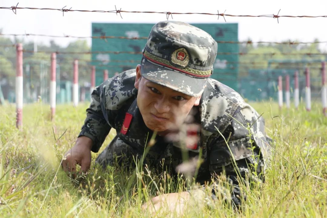 野狼特战队的心灵鸡汤总有一句激励你