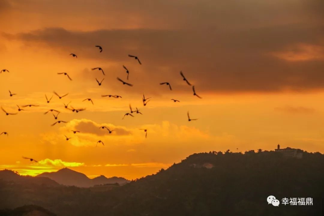【闽东之光】都知道桐城八景中的昭明夕照,那你知道昭明寺最初兴建的