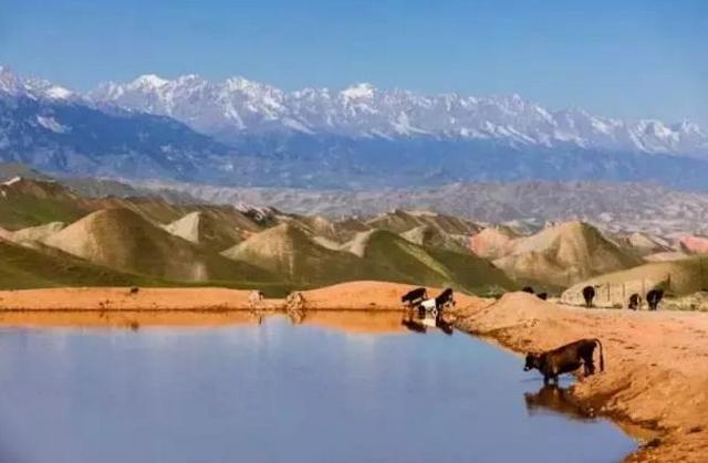 滋泥泉镇: 新疆的"阿尔卑斯"