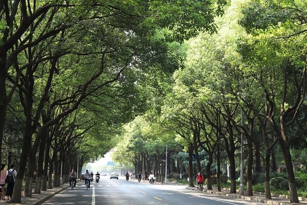 图说:闵行区莲花路 采访对象供图(下同)