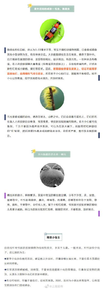 光明网■暑气渐消，这些虫却还很活跃