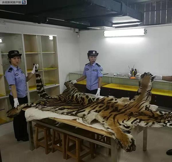 光明网：海关破获走私老虎等濒危动植物及制品案，抓获40人
