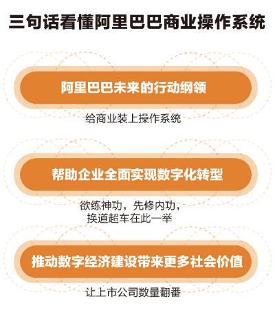中国网■阿里巴巴发布未来十年商业秘密武器：一键接入快人一步