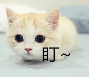 #央视#95后租保时捷跑车相约飙车“炸街” 双双获刑