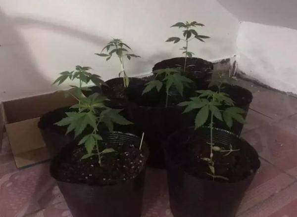 光明网：小伙旅行中遇到了神秘的菲律宾男子，结果这一选择让他后悔终生……