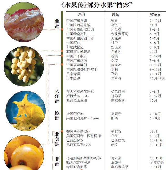 「新京报」我打赌，这部纪录片里100种水果肯定有你不认识的