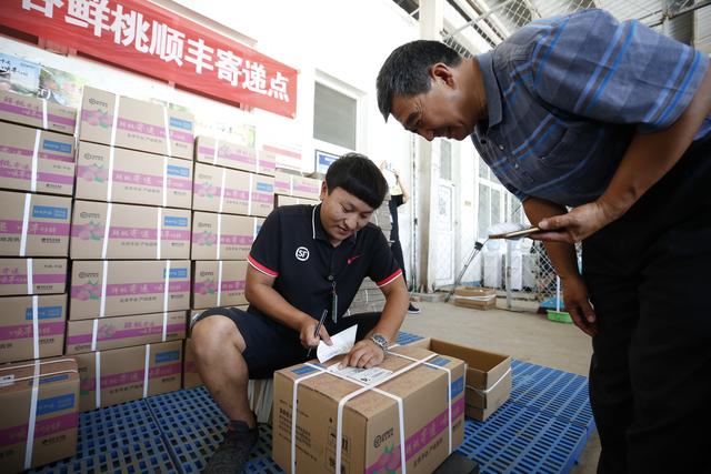 「新京报」平谷大桃单月网上成交订单破45万 桃农“吸粉”当主播