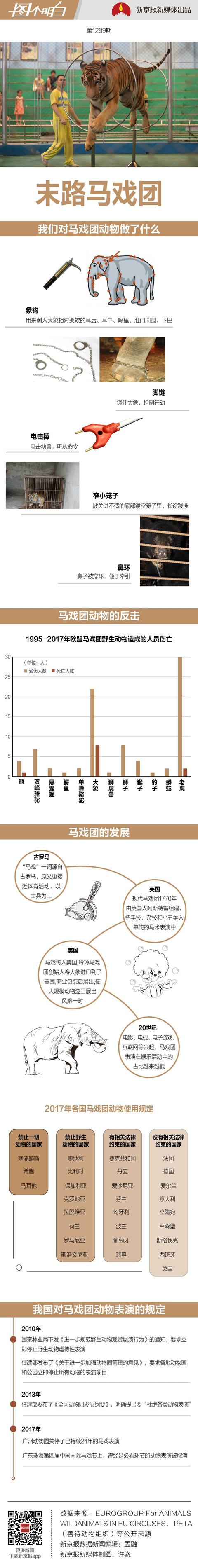 #新京报#象钩、脚链、电击，马戏团动物想逃一点也不奇怪