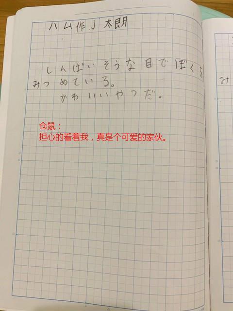 #海外网#笑喷！日本小学生强迫自己暑假最后一天写作业 日记曝光