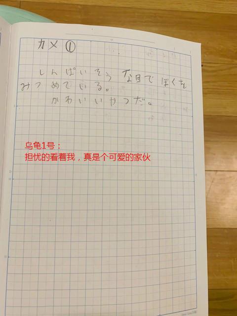 #海外网#笑喷！日本小学生强迫自己暑假最后一天写作业 日记曝光
