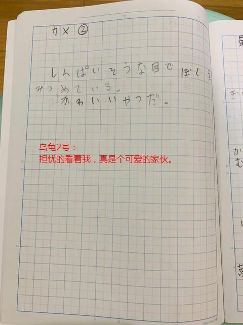#海外网#笑喷！日本小学生强迫自己暑假最后一天写作业 日记曝光