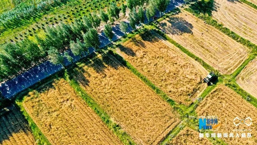 「中国气象局」中秋天气 | 北方秋高气爽南方“秋老虎”闹中秋