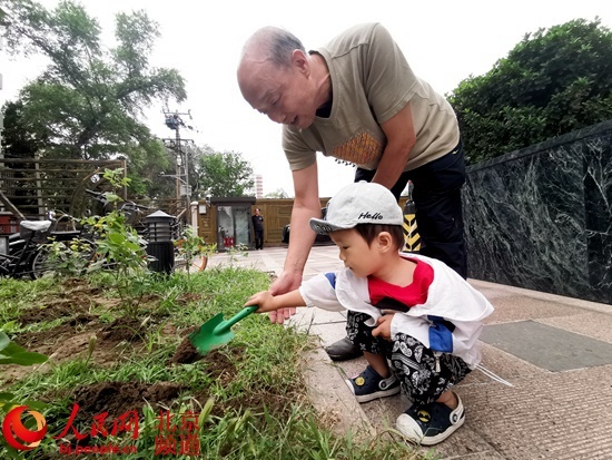 「人民网-北京频道」迎中秋 建国门街道东总布社区打造月季园微景观