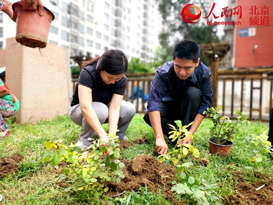 「人民网-北京频道」迎中秋 建国门街道东总布社区打造月季园微景观