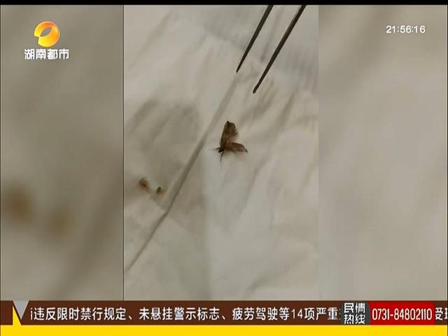 光明网■男子走在路上，忽然感觉耳朵一阵刺痛还嗡嗡响，随后取出一活物