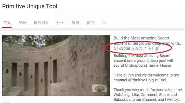 「新闻晨报」真万池王！两小哥徒手造泳池豪宅，视频播放量超2000万