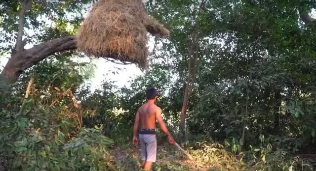 「新闻晨报」真万池王！两小哥徒手造泳池豪宅，视频播放量超2000万