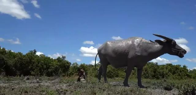 「新闻晨报」真万池王！两小哥徒手造泳池豪宅，视频播放量超2000万