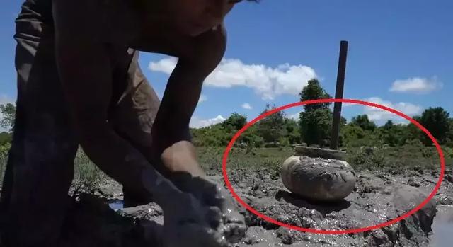 「新闻晨报」真万池王！两小哥徒手造泳池豪宅，视频播放量超2000万