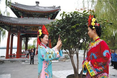 「新京报」北京菊花文化节今日开幕 六大展区待赏花人