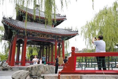 「新京报」北京菊花文化节今日开幕 六大展区待赏花人