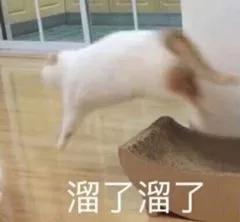 「央视」五仁被踢出月饼界？网友用实际行动证明：不能够