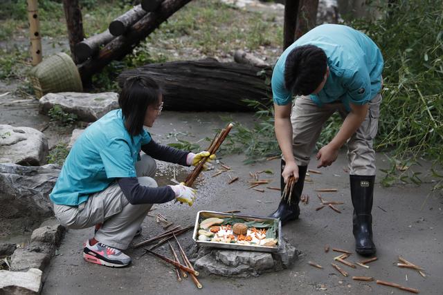 「新京报」大熊猫吃上月饼、果盘，北京动物园推出动物“中秋特餐”