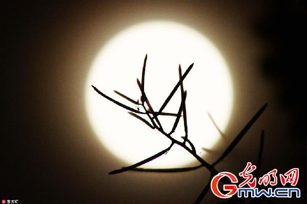 光明网■中秋到人团圆 赏花赏月赏秋香