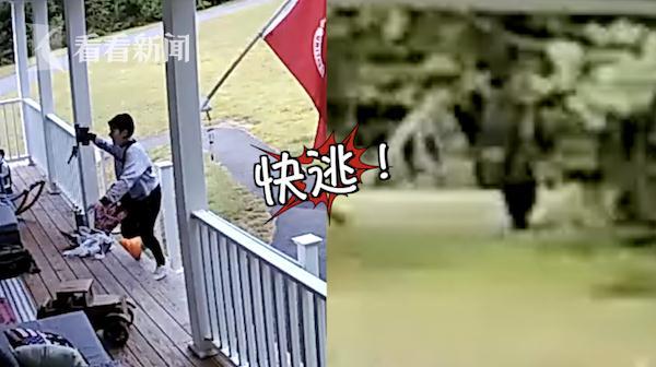 #光明网#女子出家门与黑熊对视…… 双方吓到一同跳起奔逃