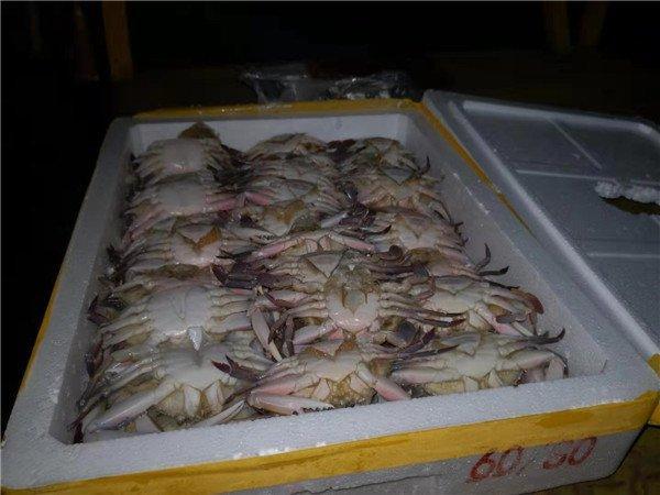 光明网@大货车被查补缴了四倍通行费，司机：早知道就不拉这些螃蟹了