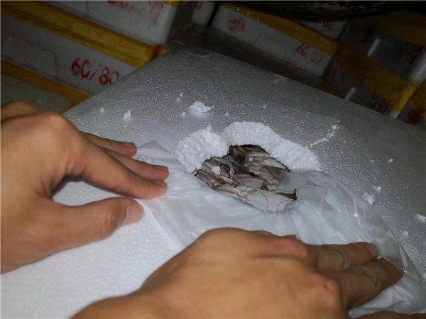 光明网@大货车被查补缴了四倍通行费，司机：早知道就不拉这些螃蟹了