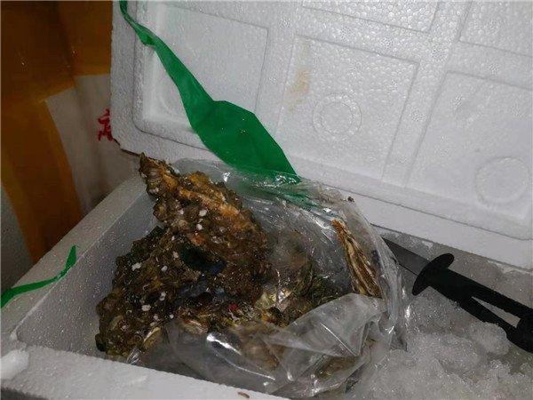 光明网@大货车被查补缴了四倍通行费，司机：早知道就不拉这些螃蟹了