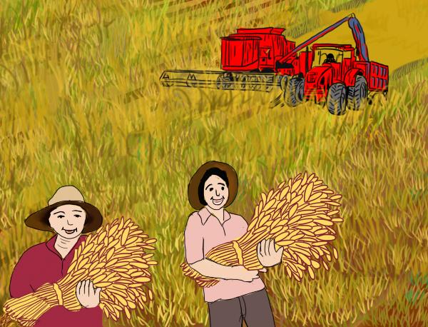 [中青在线]团圆夜，家国情