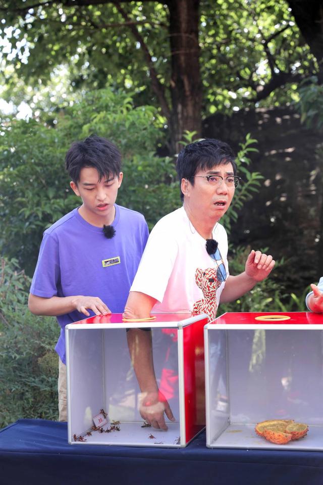 [上观新闻]《花样新世界》等银发综艺热播，荧屏之上，“银发叙事”不应缺席