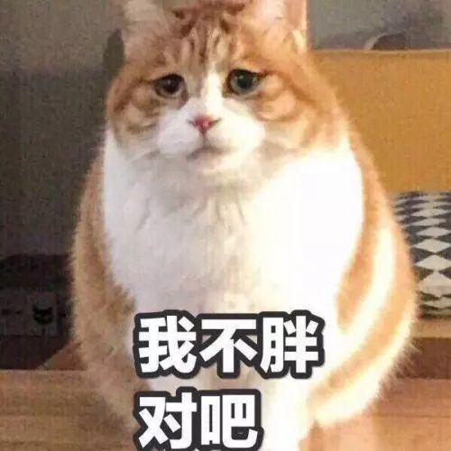 「环球网」微胖的人更长寿！给每逢佳节胖三斤的你，一个原谅自己的理由