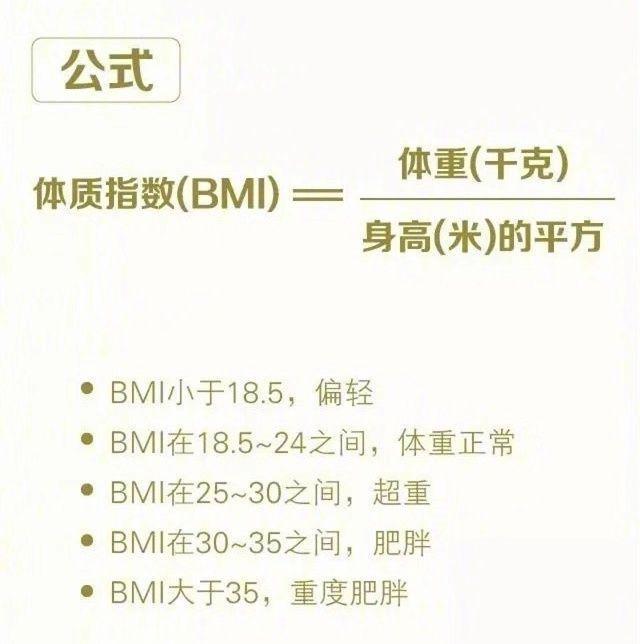 「环球网」微胖的人更长寿！给每逢佳节胖三斤的你，一个原谅自己的理由