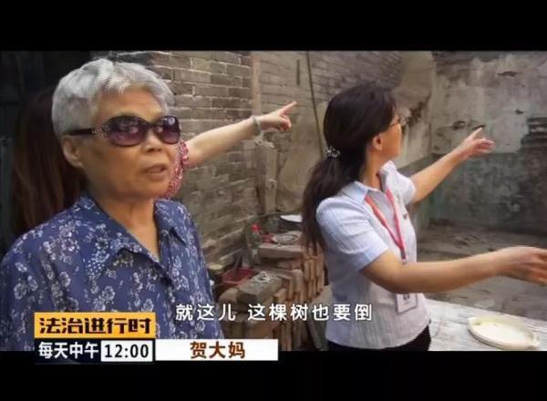 #光明网#和谐社区：老北京胡同里的大江社区