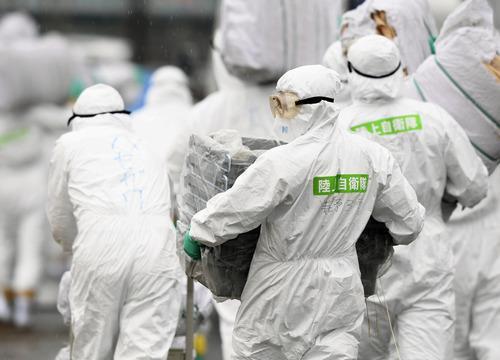 中国经济网@日本猪瘟疫情扩散到8府县 关东地区失守