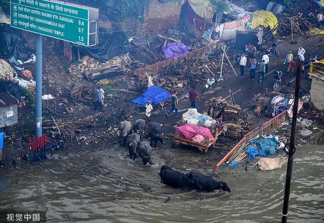 「环球网」印度阿拉哈巴德遭遇洪水 当地道路被淹居民划船出行