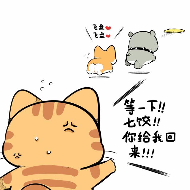 「南方都市报」饭饭和七饺来啦！人气漫画“象扑君”作者“大象ROV”出新作