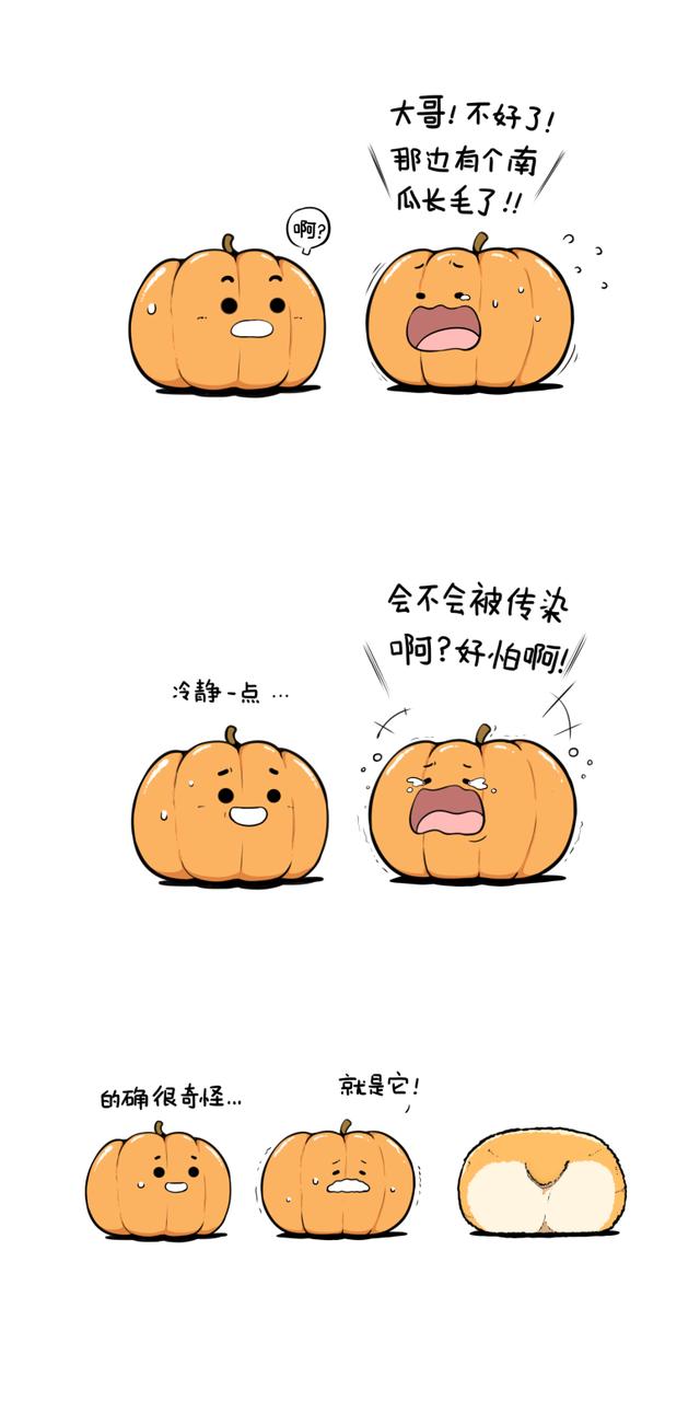「南方都市报」饭饭和七饺来啦！人气漫画“象扑君”作者“大象ROV”出新作