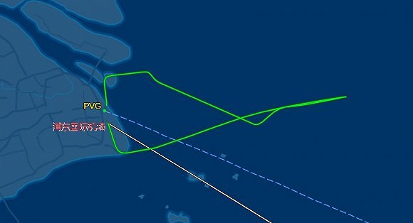 「界面」东方航空上海飞布里斯班航班遇鸟击返航 安全降落