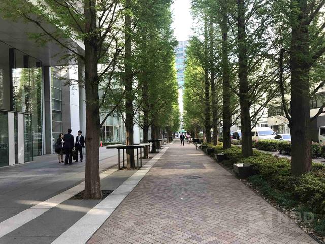 「每日经济新闻」每经专访日建设计常务执行董事、都市部门总裁大松敦 TOD开发最重要的原则：让人更舒适便捷地从站点走向街区