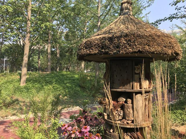 「中青在线」北京：历史文化街区展开新画卷