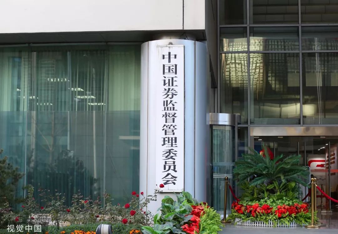 「央视网」见识丨罚准、罚狠、罚到位，守住资本市场“生命线”