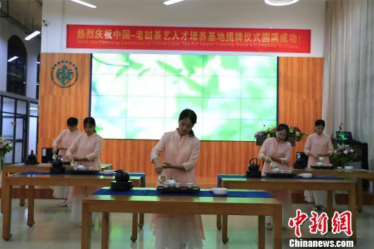 「中国新闻网」广西高职院校与老挝合作培养茶艺人才