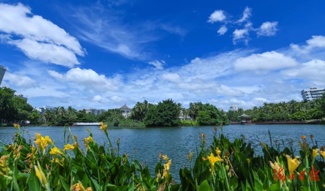 生态宜居已经成为海口的名片.本报记者 苏弼坤 摄海秀东路的怡人风景.