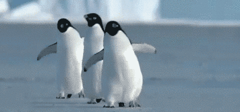 480_224gif 动态图 动图