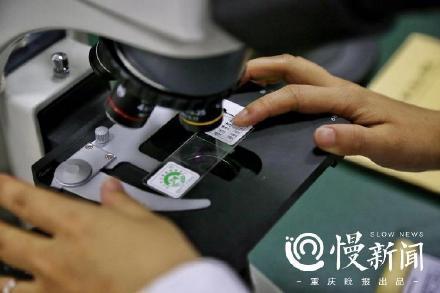 「光明网」母子高校做同学，妈妈说“我不是陪读，我也有梦想”