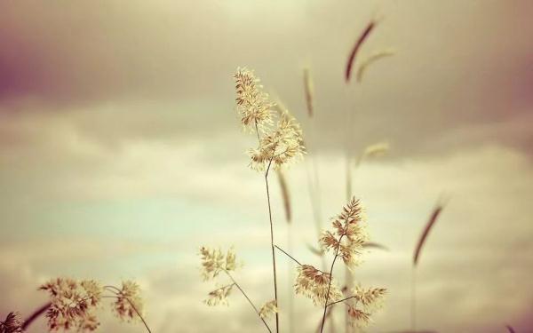 【光明网】天气变凉了，注意添衣